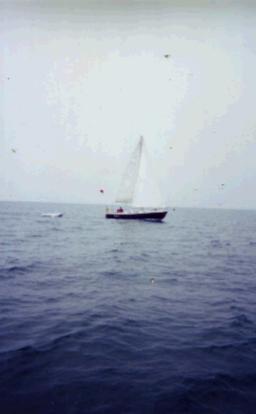 sailing0015